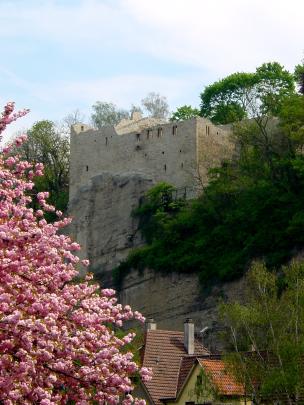 Burg Löffelstelz