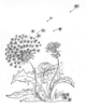 Städtische Kindertagesstätte &quot;Pusteblume&quot;